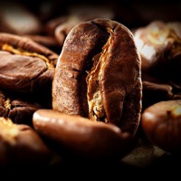 Что такое Single Origin Coffee